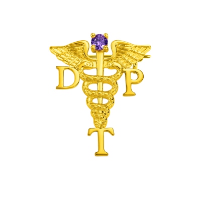 Personalized Medical Graduation Theme Pin with Birthstone