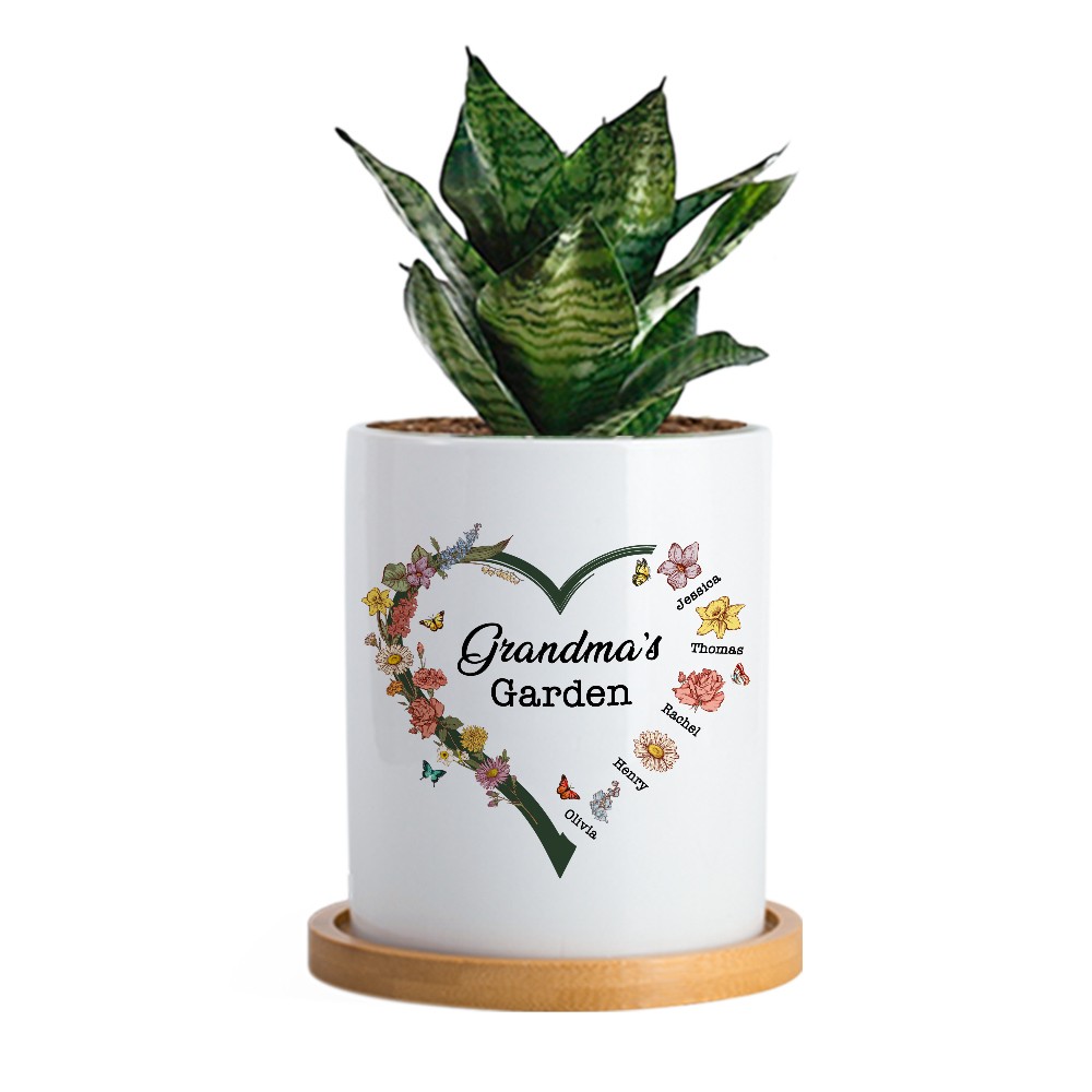 Plant Pot