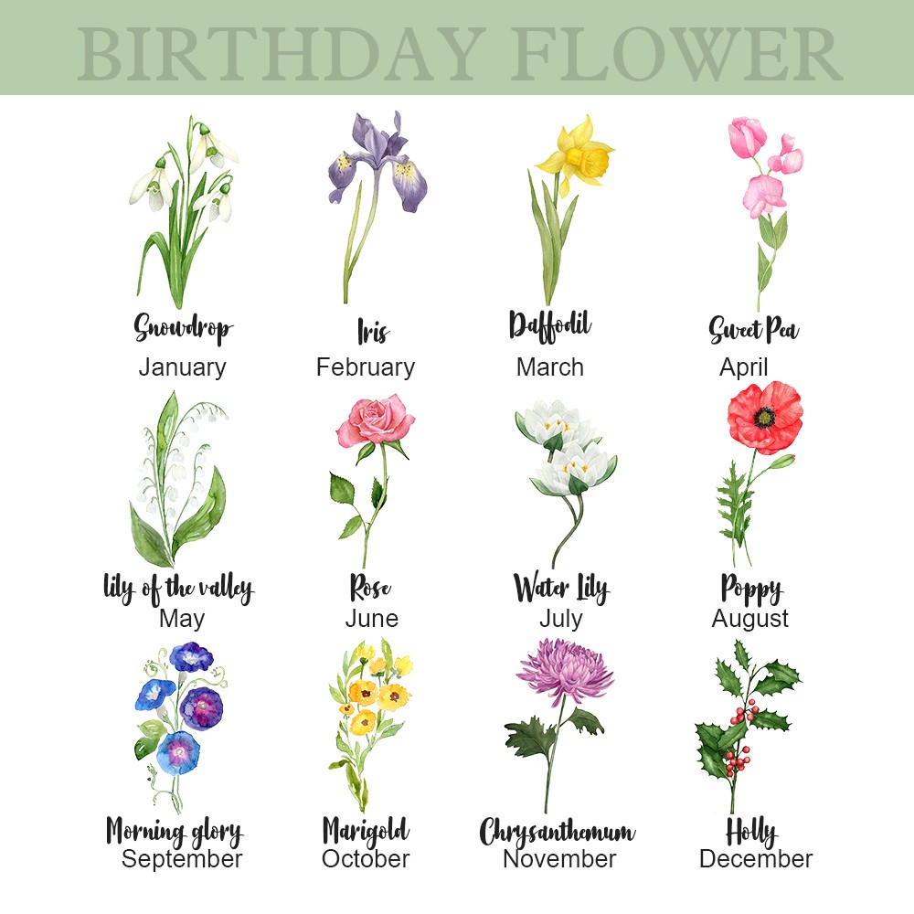 Birthday Flowers