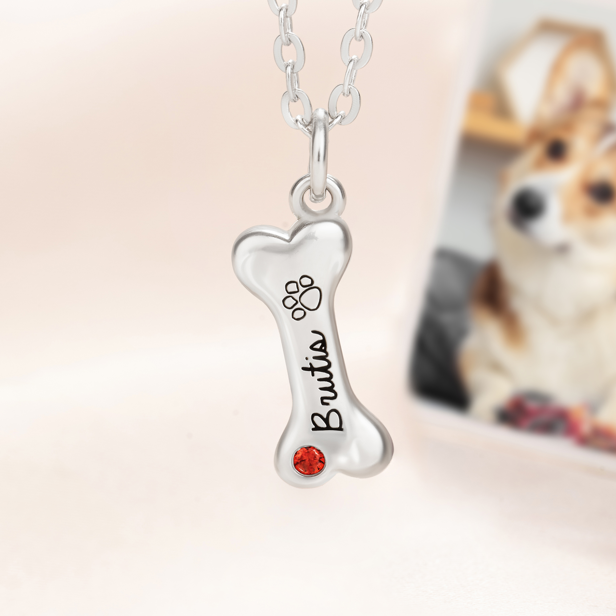 Customized 925 Sterling Silver Exquisite Bone Necklace with  Birthstone and Engraved Names, Pet Theme Jewelry, Gift for Dog Lovers