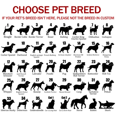 pet