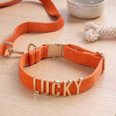 Personalized Velvet Dog Collar with Name, Colorful Adjustable Puppy Gold Metal Letters Collar, Pet Accessory, Birthday Gift for Dog Mom/Pet Owners