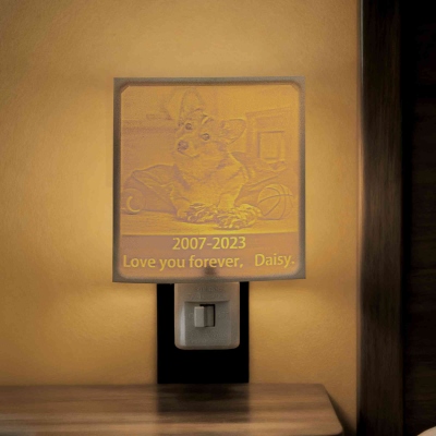 Personalized 3D Photo Night Light, Light up Picture Frame for Kids Bedroom, Gift Using My Own Photo, Memorial Remembrance Gift for Men/Women/Pet Lover