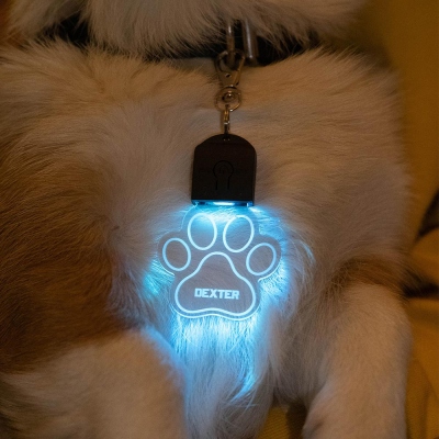 dog tags