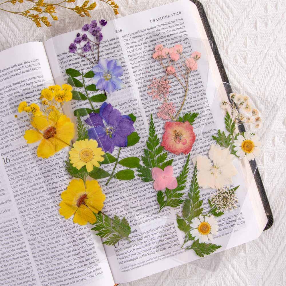 Marcadores de flores coloridas Marcador floral prensado com flores secas reais, Marcador de página estético feito à mão para amigos livreiros