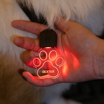 led dog