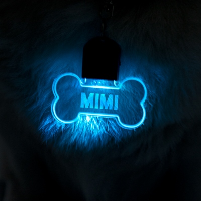 light up dog
