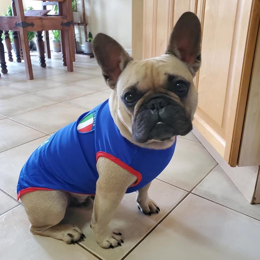 Chat Jersey
