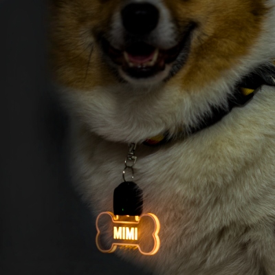 gift for dogs