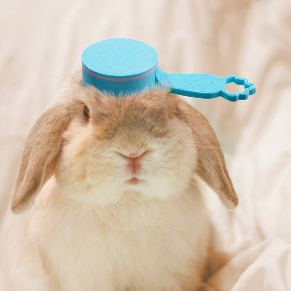 rabbits treats