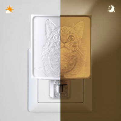 3d picture frame
