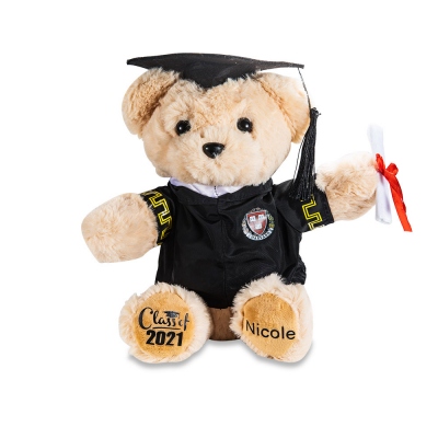 Custom-built Graduation Teddy Bear with School Badge