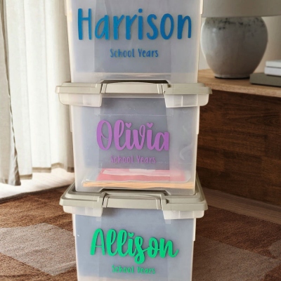 Personalized Name School Memories Bin Labels, Keepsake Labels, Storage Bin Labels, Box Decor, Back to School Gift, Gift for Kids/Daughter