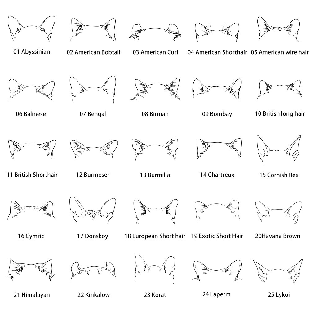 Custom Pet Mom/Dad Sweatshirt, Personalized Sweatshirt with Dog Cat Ears and Names on Sleeve, Men & Women Unisex Fit, Gift for Pet Lover/Owner