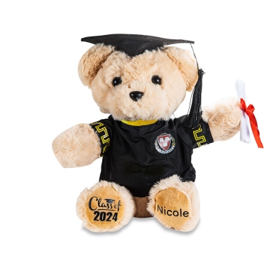 Custom-built Graduation Teddy Bear with School Badge