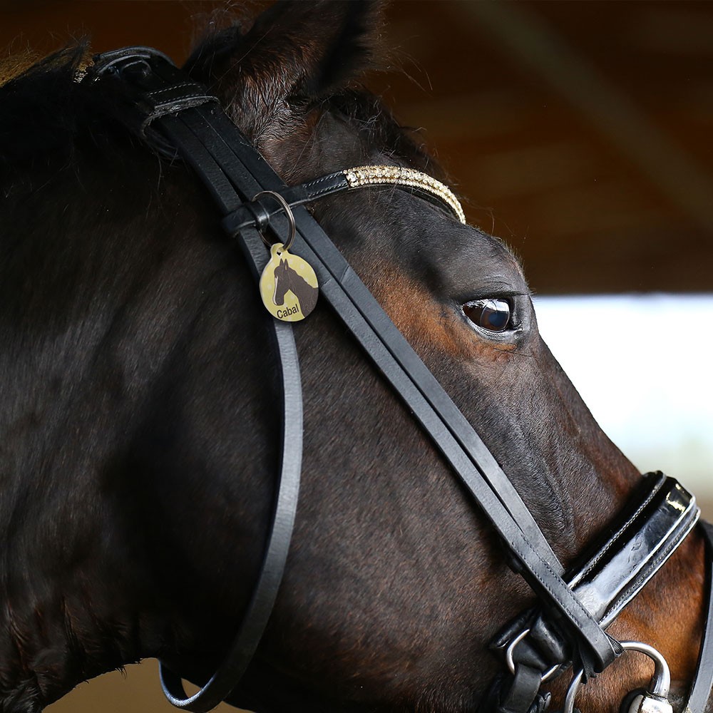 Horse Name Tag