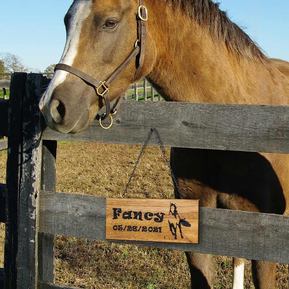 gift horse lovers