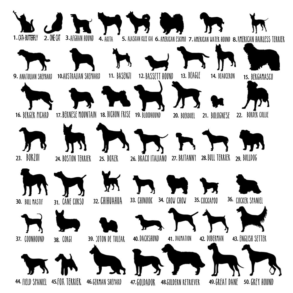 Pet Breed