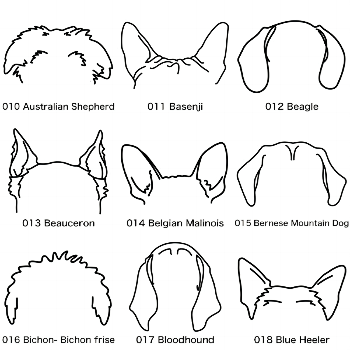 ear
