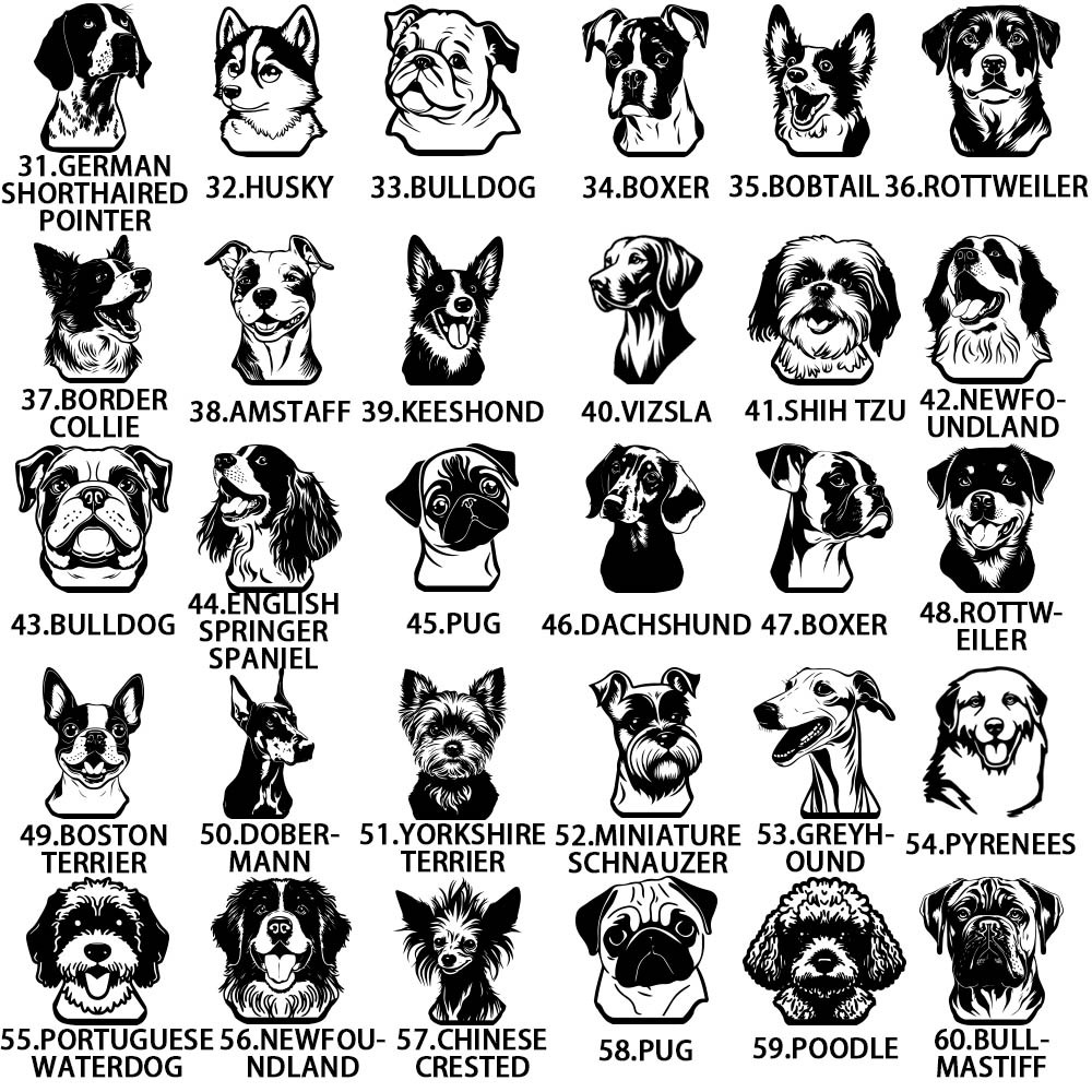 dog1