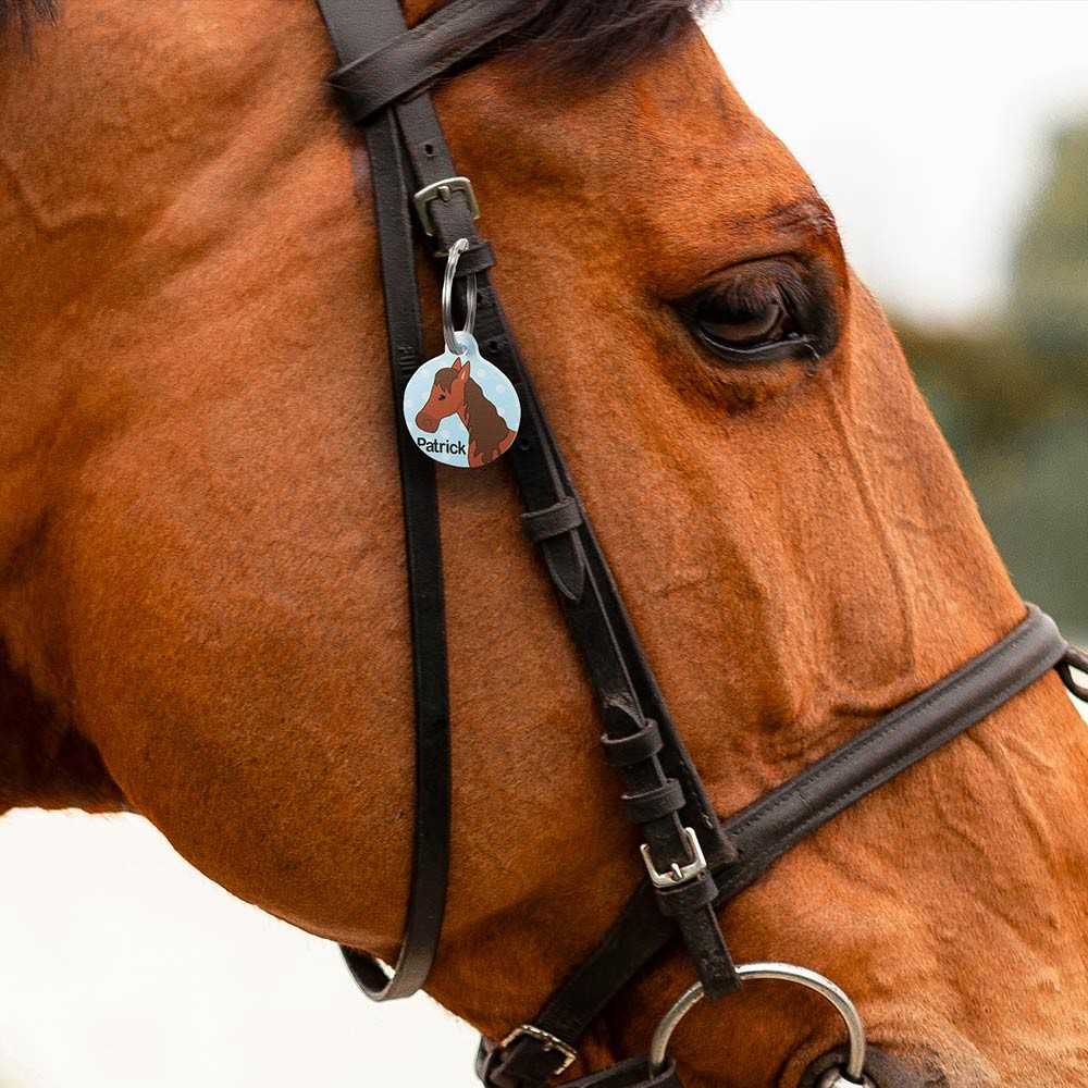 Custom Horse Name Tag