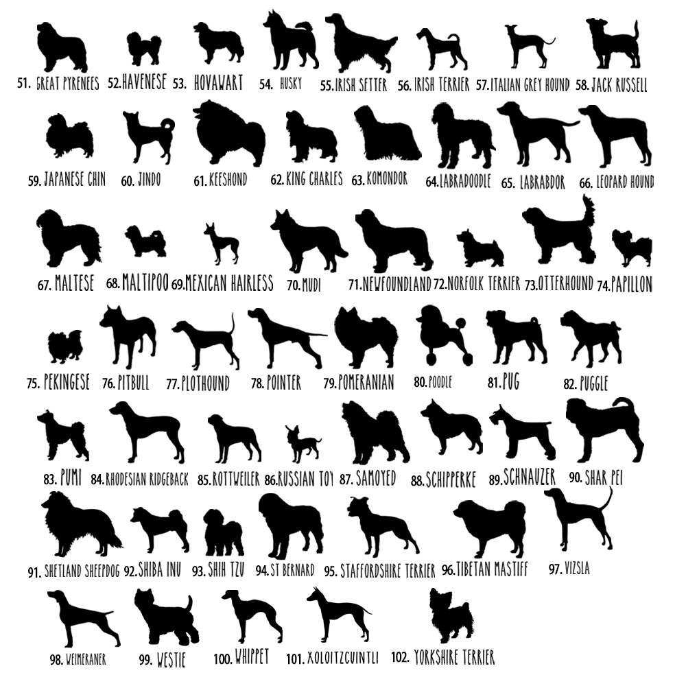 Dog Breed
