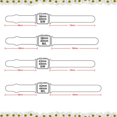 Apple Watch Accessories