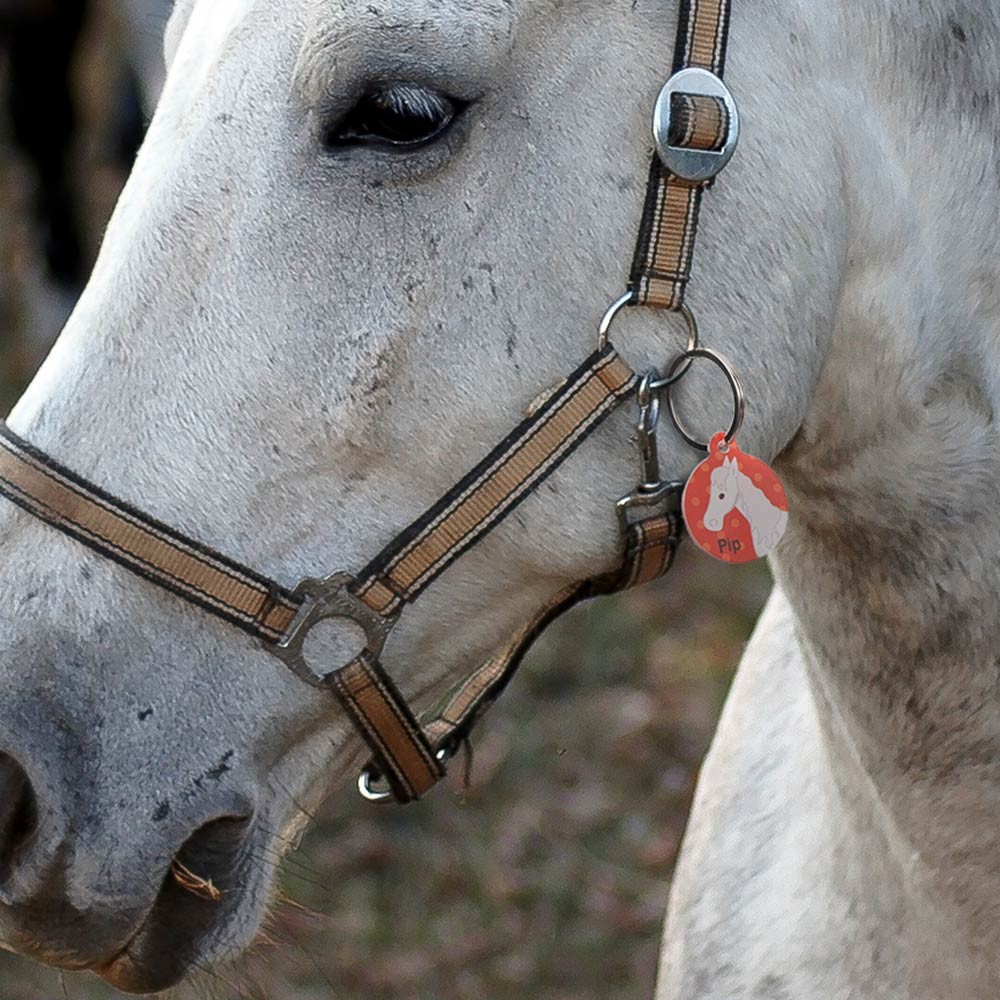 Custom Horse Tack