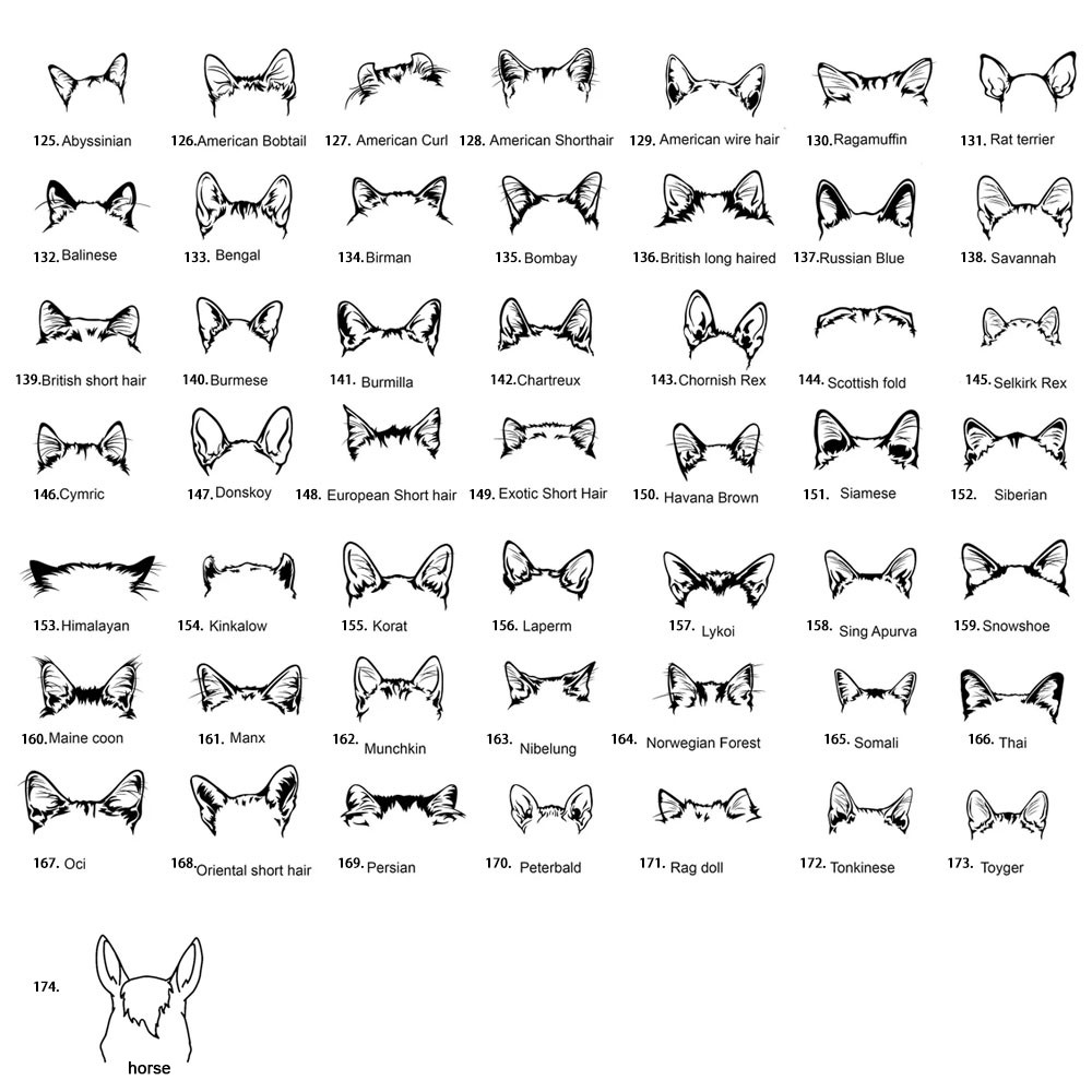 cat ear