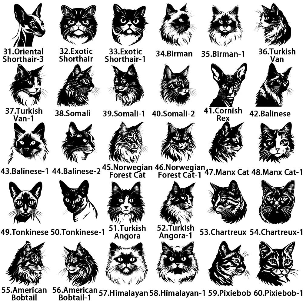cat1