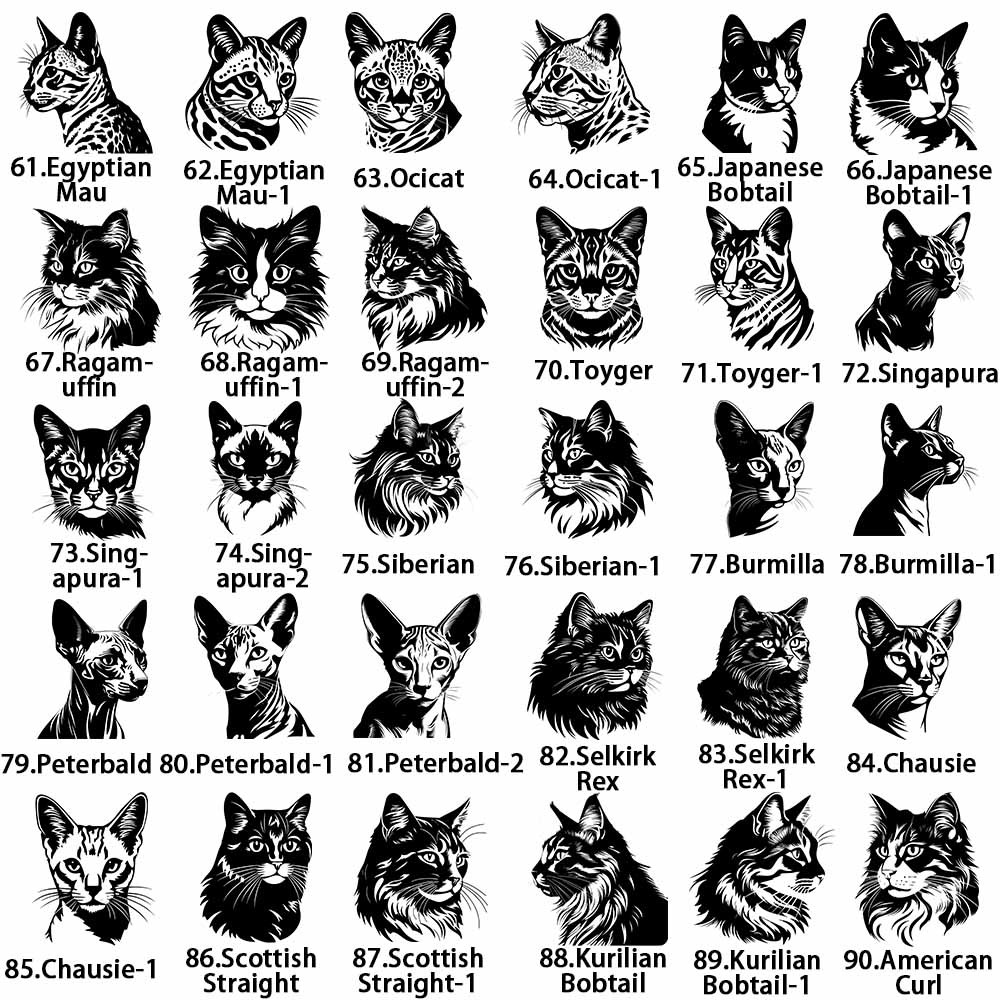 cat2