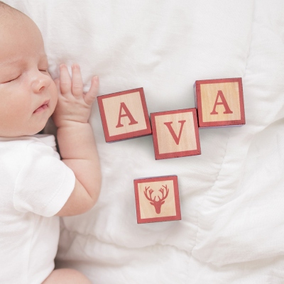 Name Blocks Woodland Nursery Decor for Baby Shower Gift