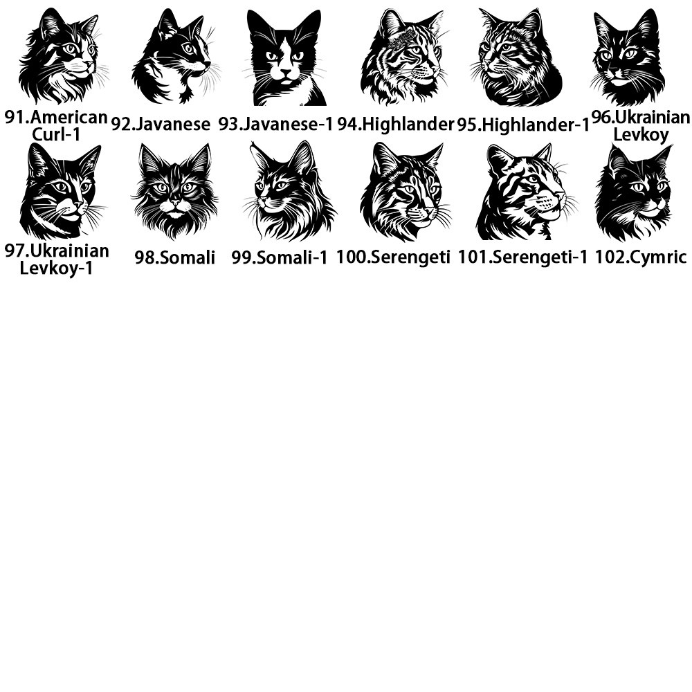 cat3