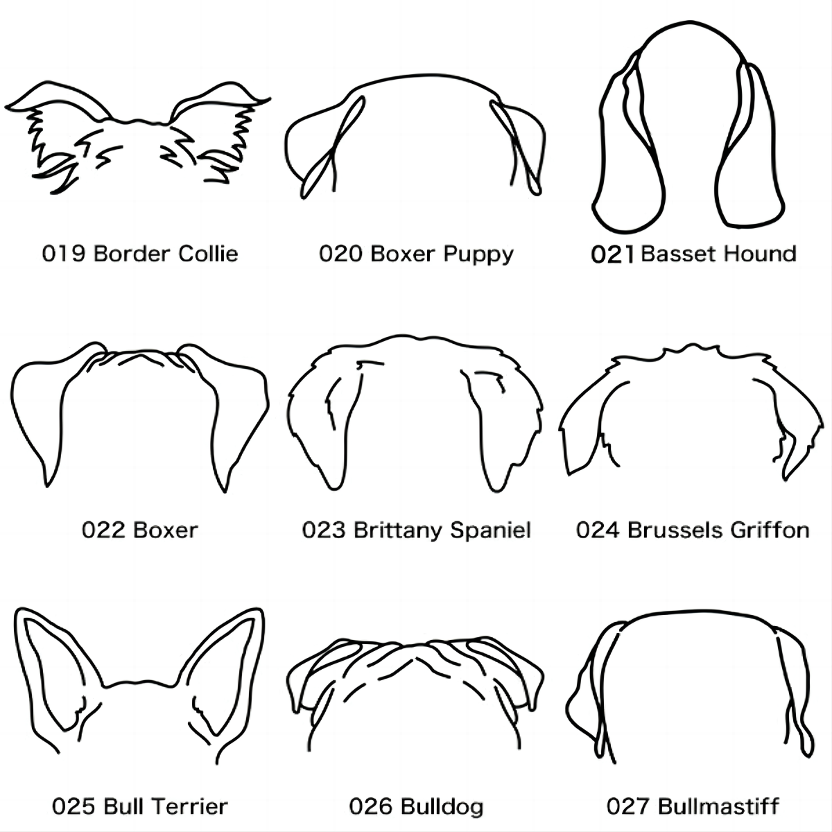 dog breed