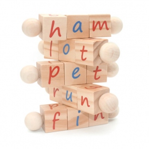 Genuine Reading Block and Card Set for Montessori Age Kids 