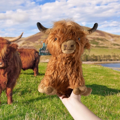 Personalized Highland Cow Stuffed Animal, Cow Plush Toy with Custom Ear Tag, Soft Plush Country Farm Highland Cattle Decor, Gift for Baby/Girls/Boys