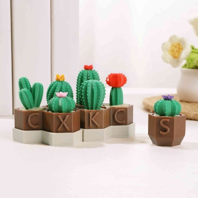 Personalized 3D Printed Mini Cactus Clicky Fidget Toy with Initial, Stress Relief Clicker Desk Companion, Birthday Gift for Plant Lovers/ADHD/Adults