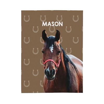 Horseshoes