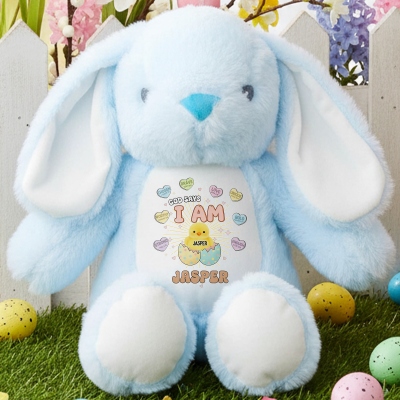 Personalisierte Hasenpuppe mit Bibelversen „Ich bin“, weiches Plüschtier mit Affirmationsbotschaft, Osterandenken, Geburtstags-/Ostergeschenk für Neugeborene/Kinder