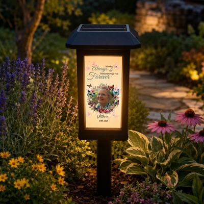 Solar Garden Light