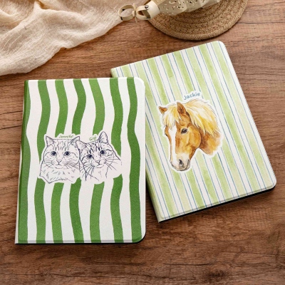 iPad Case