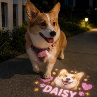 Personalized Pet Photo Projection Light with Name, Portable Dog & Cat Night Walking Safety Accessory, Home Atmosphere Decor Lamp, Gift for Pet Lovers