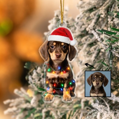 Personalisierte Weihnachtsmützen-Lichterkette mit Haustierfoto-Design, Acryl-Hängeornament, Baumschmuck, Weihnachtsgeschenk für Tierliebhaber