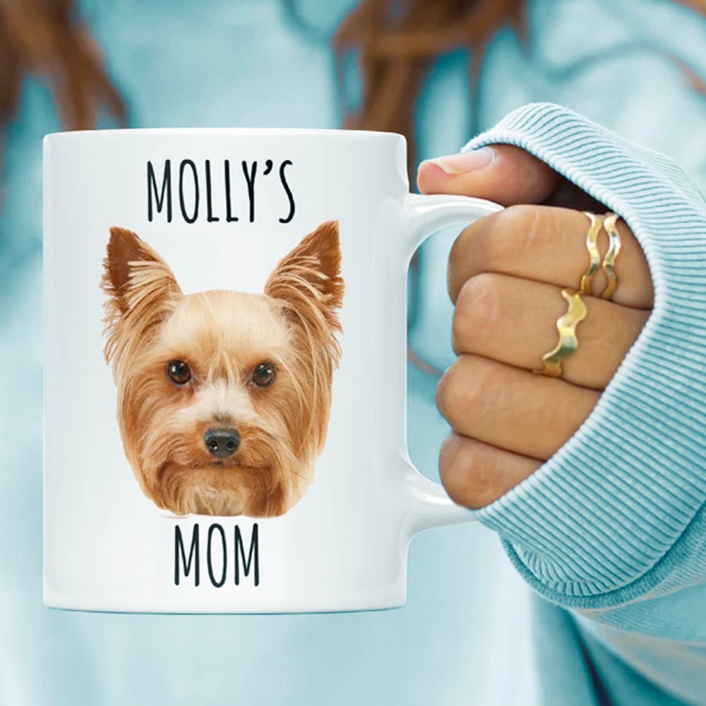 tasse de chien photo