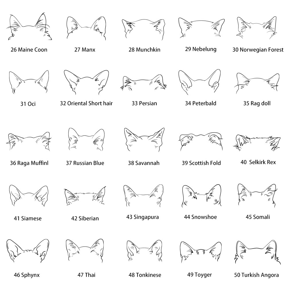 Custom Pet Mom/Dad Sweatshirt, Personalized Sweatshirt with Dog Cat Ears and Names on Sleeve, Men & Women Unisex Fit, Gift for Pet Lover/Owner