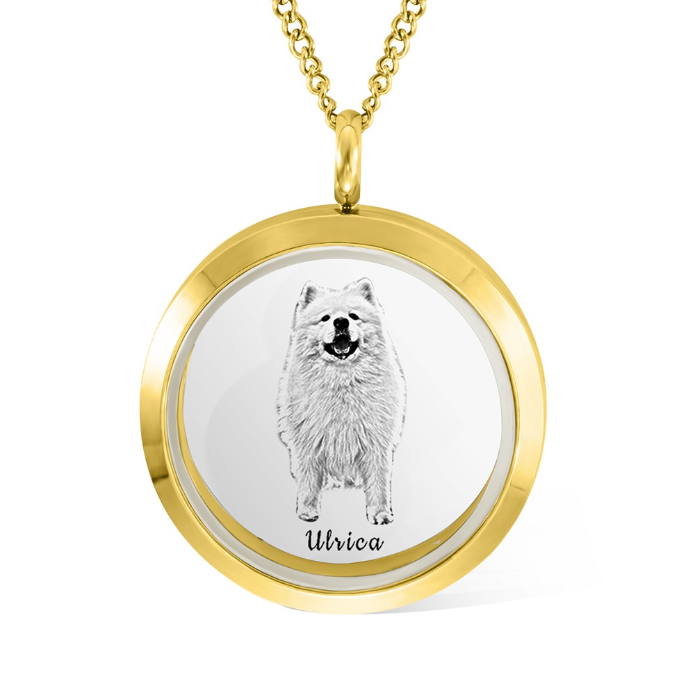 collier urne pour animaux de compagnie