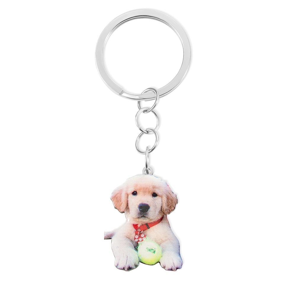 Collana portachiavi personalizzata con foto incisa di animali domestici