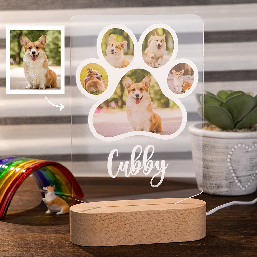 Pet Memorial Gift