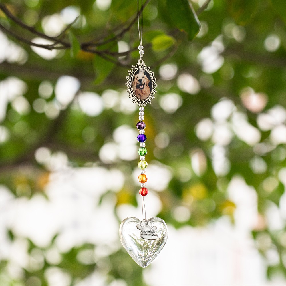 rainbow bridge