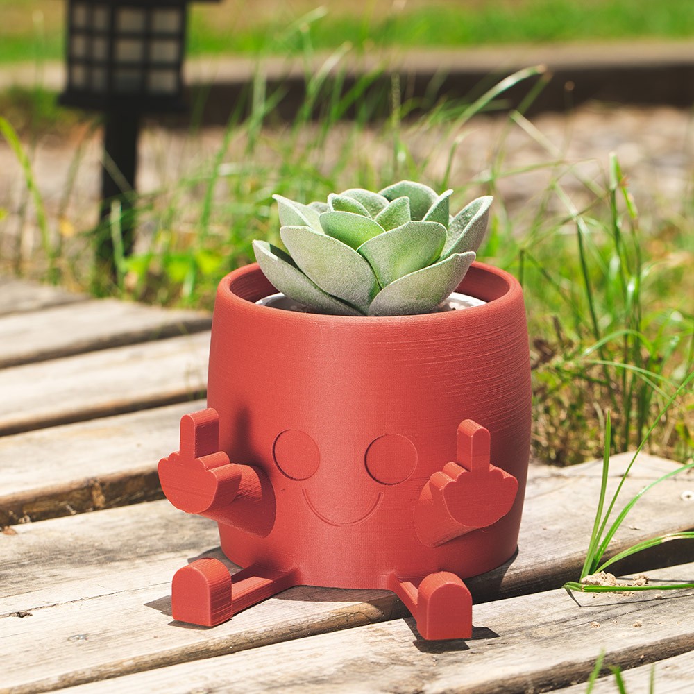 Middle Finger Happy Planter, Kawaii Planter, Planter with Face, Planter with Middle Finger, Succulent Planter, Indoor Planter